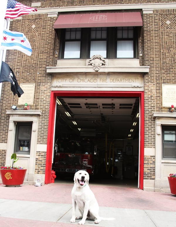 wrigley-fire-station-chicago
