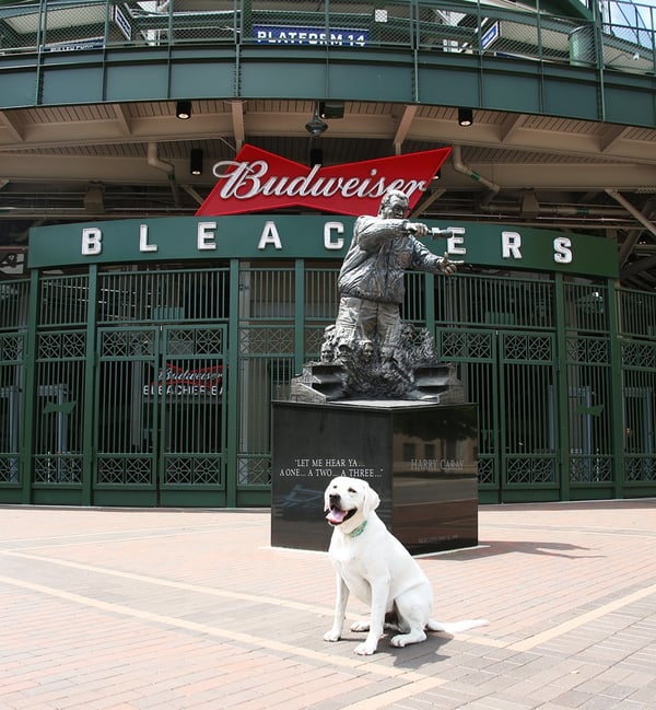 wrigleyville-chicago-bleachers